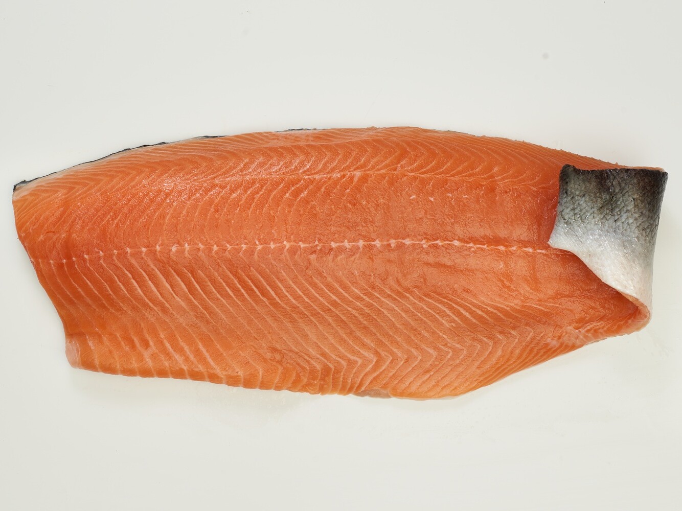 Lachs Filet Lachs Filet